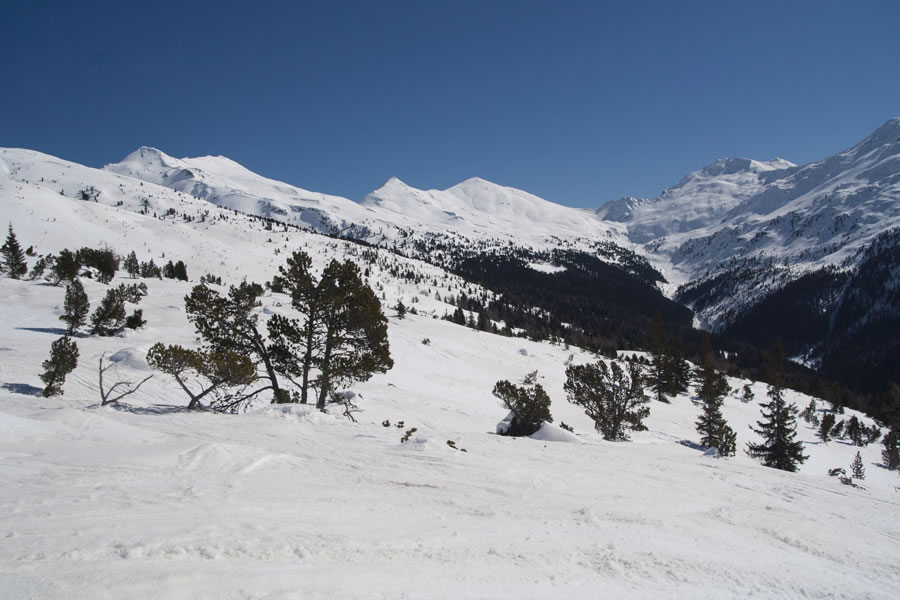 Schrotthorn - Corno d. Ceppo, Gisshorn, Plankenhorn - Corno Planca, Kassianspitze - Cima S. Cassiano