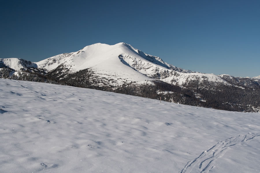 Wintertalernock