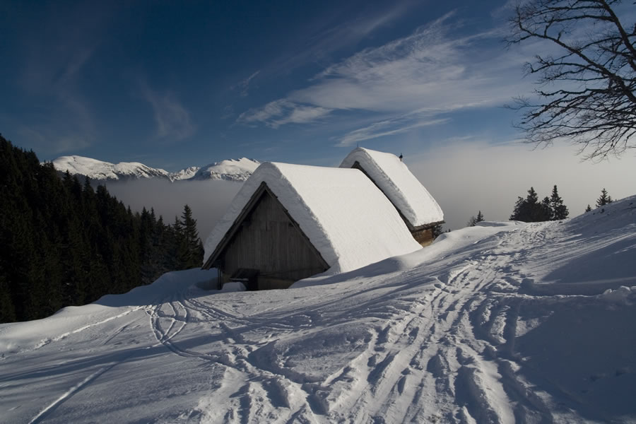 Jeseniška planina