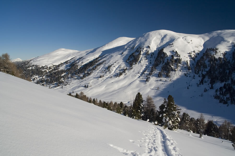 Ochsenriegel, Rosaninh�he