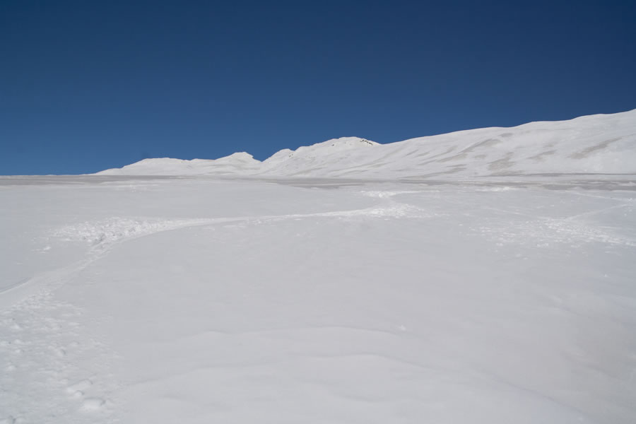 Kühbergalm - Alpe delle Vacche