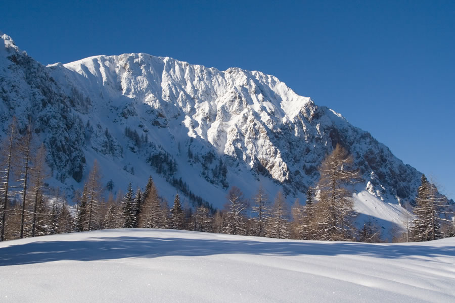 Kozjak