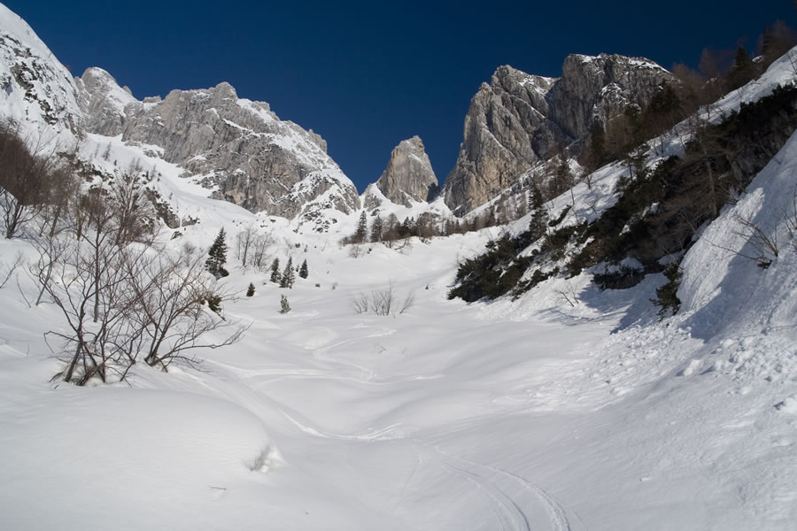 Mala Lojtrica, Rogljič, Lepa glava
