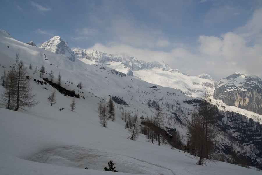 Prestreljenik, Kanin