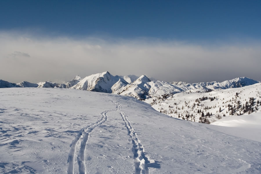 Hoher Trieb (Cuestalta)