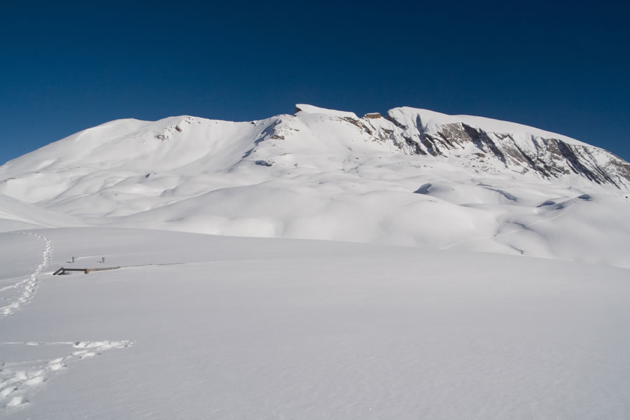 Punta Quaira di Sennes (Senneser Karspitze), Croda del Becco (Seekofel)