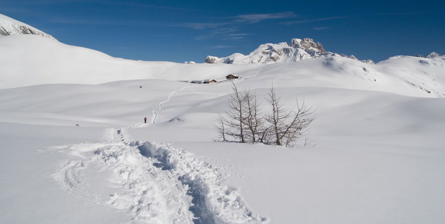 Alpe di Sennes, Sennesalm