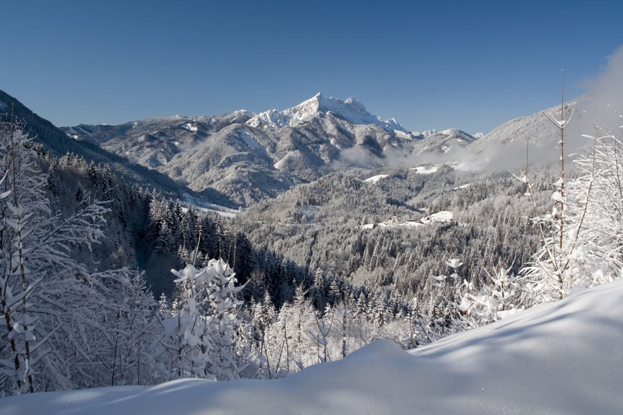 Tolsta Košuta, Košutnikov Turn