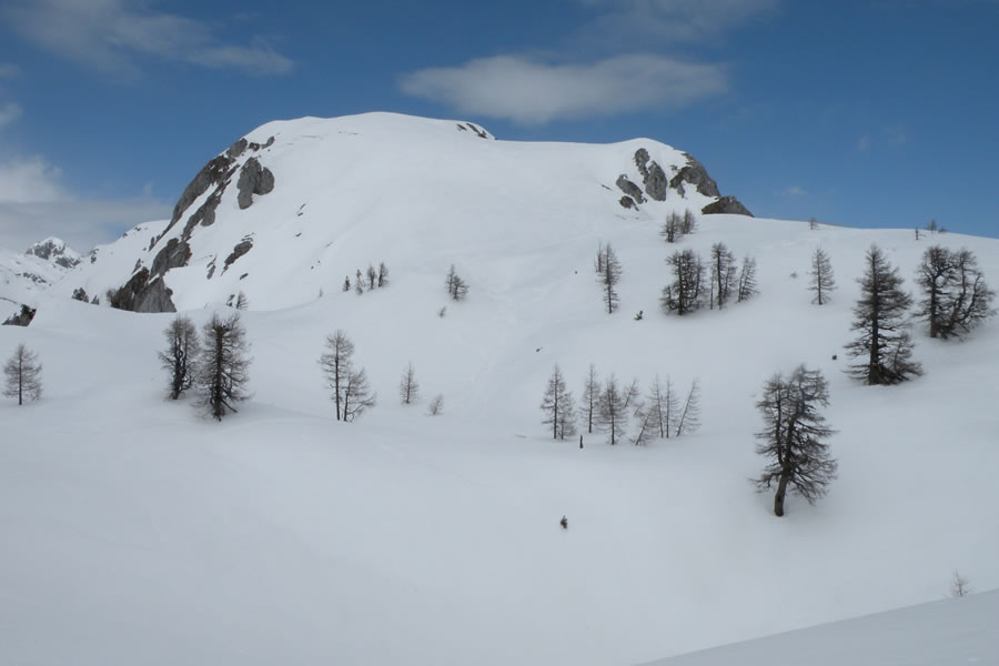 Ogradi