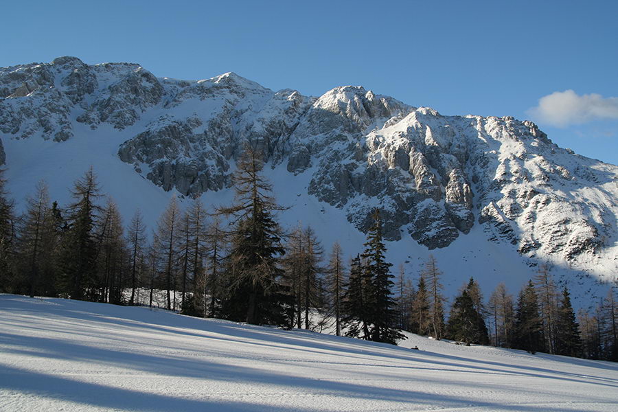 Begunjščica z Zelenice