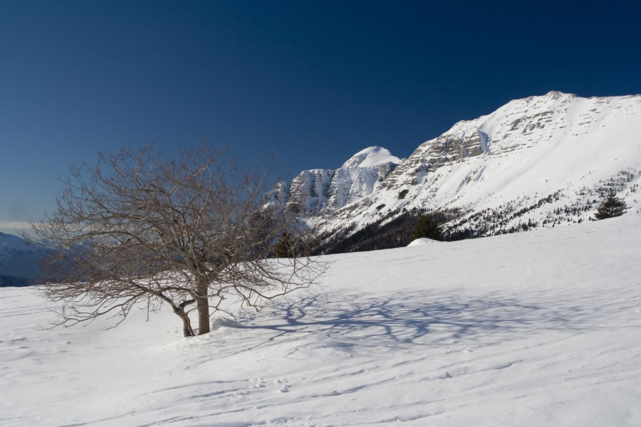 Strma peč, Zabuš