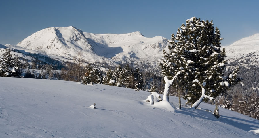 Stangnock, K�nigstuhl