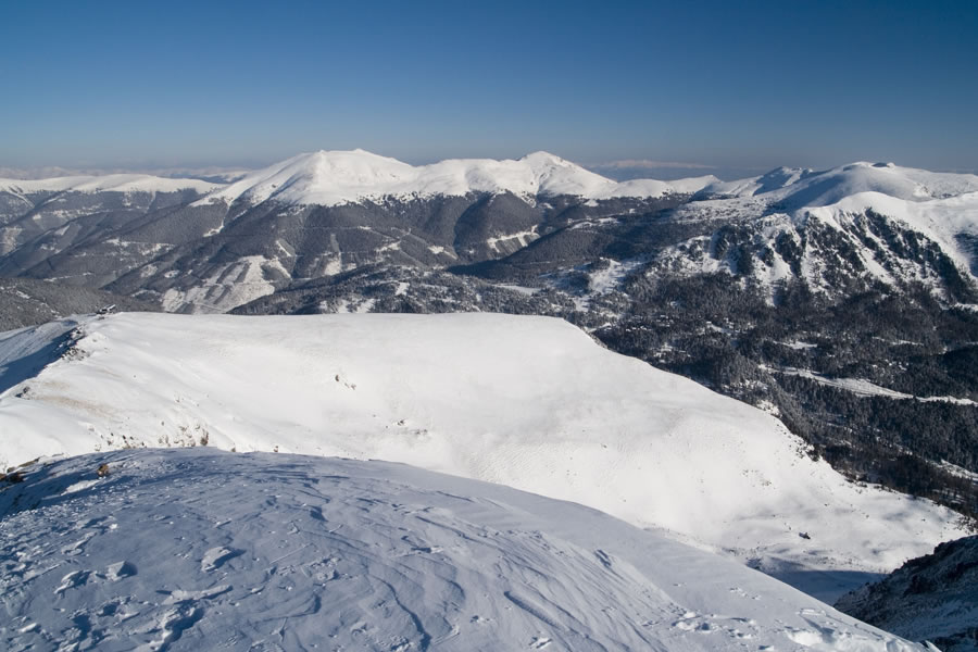 Eisenhut, Wintertalernock