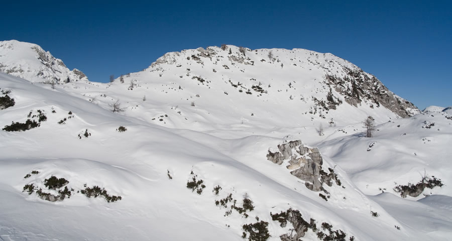 Veliki Selišnik