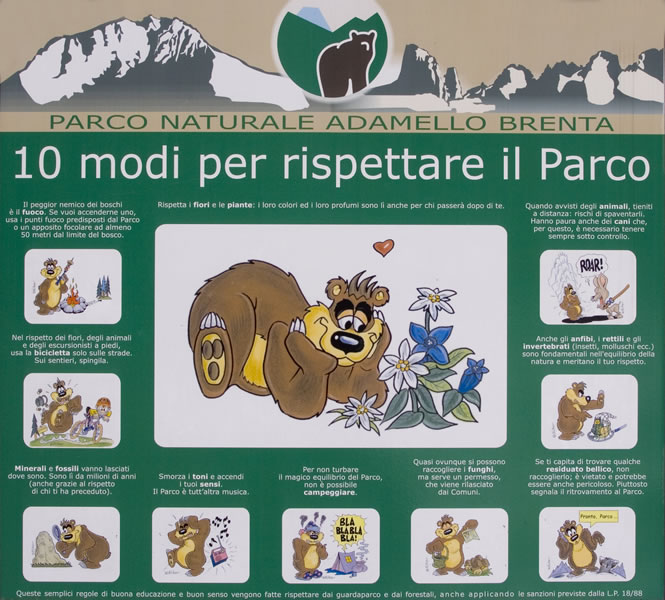 Kaj ima rad in česa ne mara slovenski medo