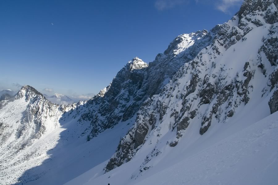 Zelenjak