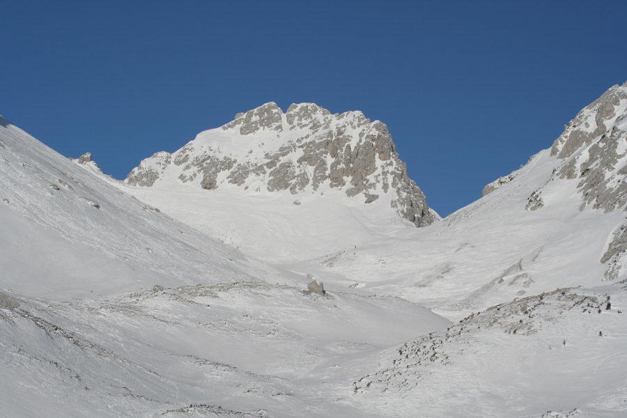 Suho ruševje, Zelenjak