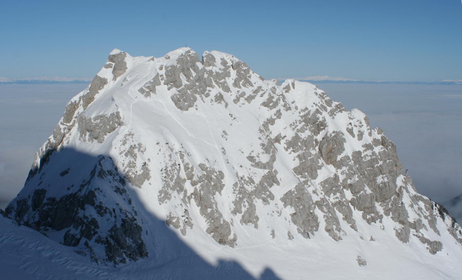 Zelenjak