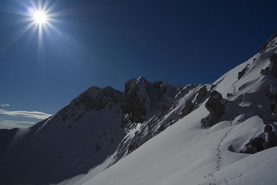 Viševnik s Srenjskega prevala