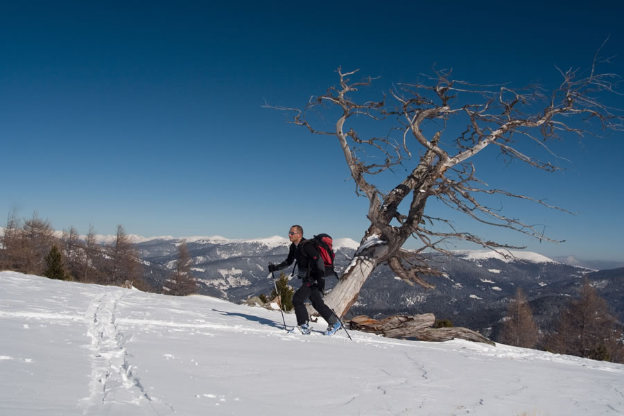 Proti Wintertalernocku