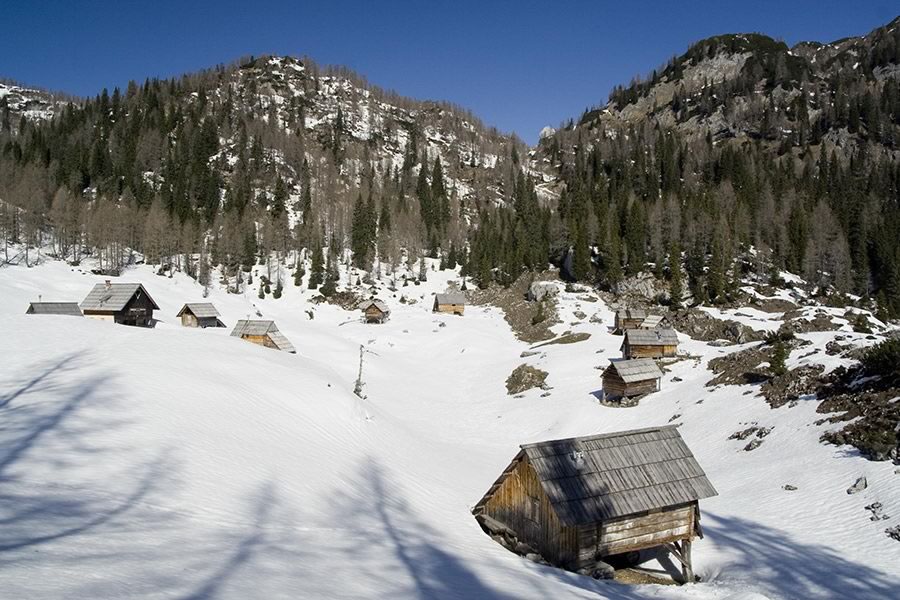 Planina Dedno polje