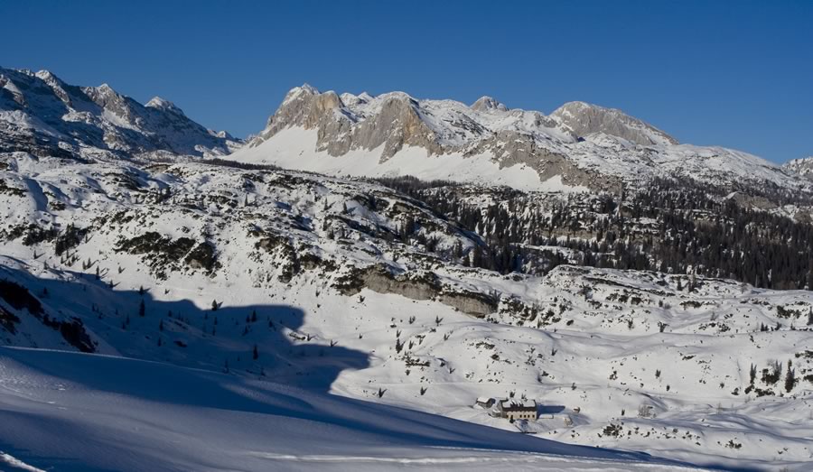 Zelnarici, Kopica,  Tičarici