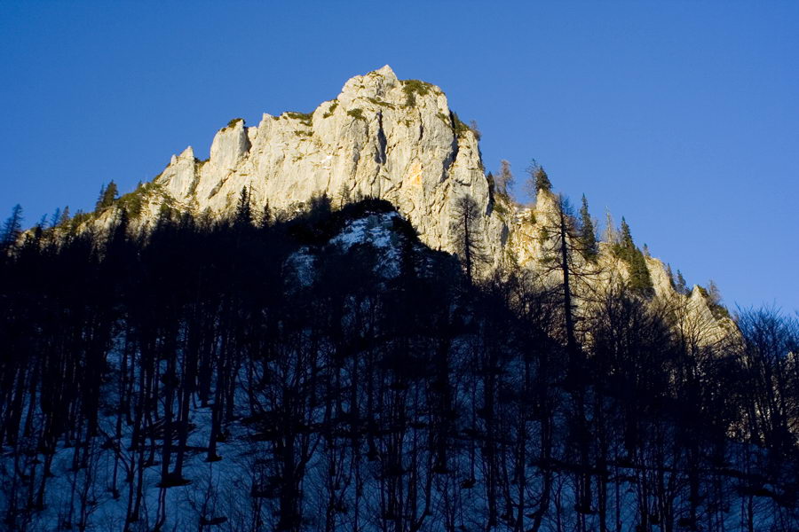 Greben Ljubeljščice