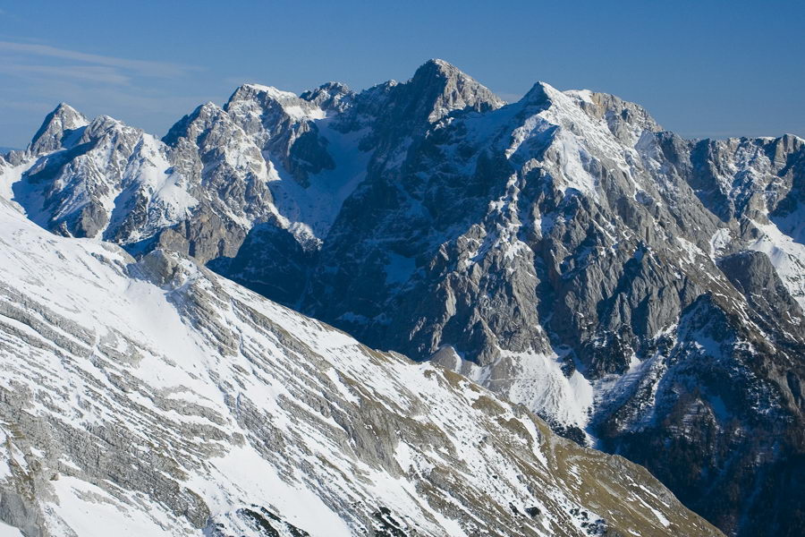 Martuljkova skupina, Prisank