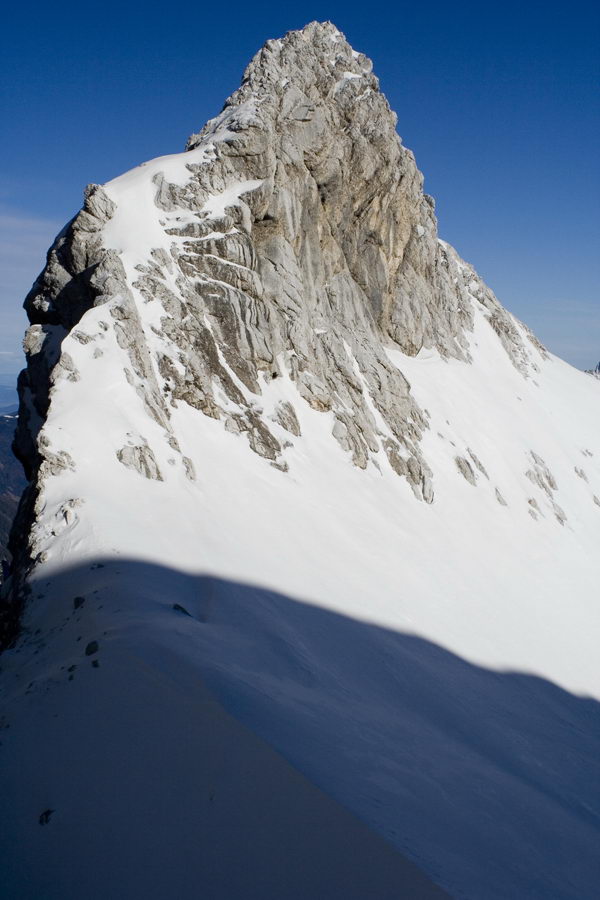Goličica