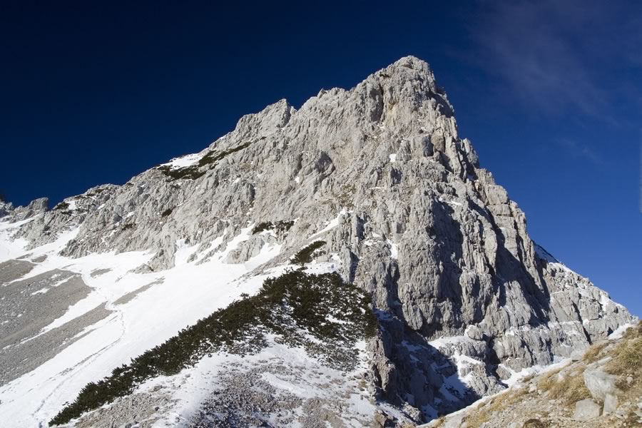 Zelenjak
